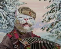 Russian cat