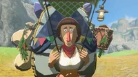 Beedle