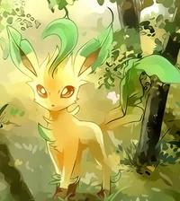 Leafeon 