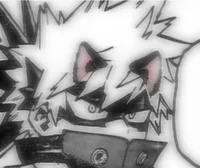 Bakugo - Gato