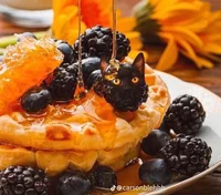 Blueberry waffle cat