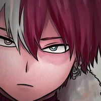 Shoto Todoroki