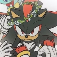 Shadow The Hedgehog 