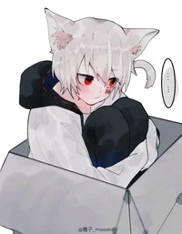 Neko boy