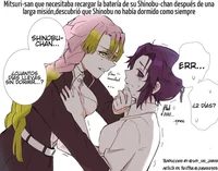Mitsuri and shinobu