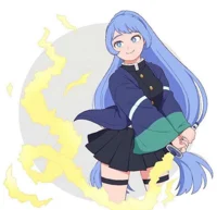 Nejire hado DS