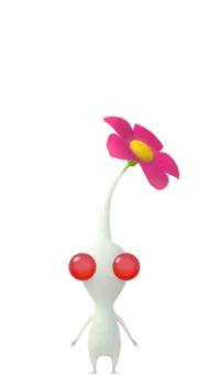White Pikmin