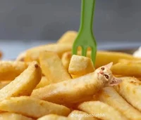 Fry cat