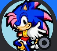 Sonic jr akajoshmint