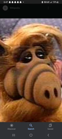 ALF -aka Gordan-