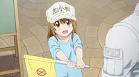 Platelet