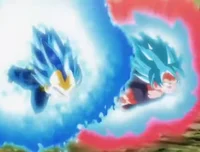 Gokukaiokenvegetaevo