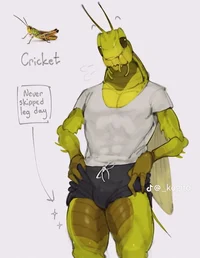 Cricket