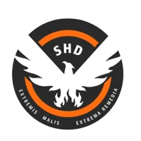 The Division RP