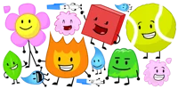 bfdi simulator