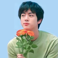 Jin BTS 