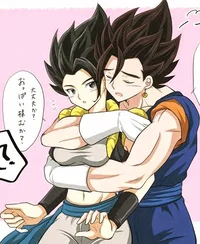 VEGETTO x GOGITA