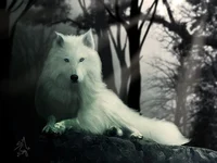 Direwolf Journey