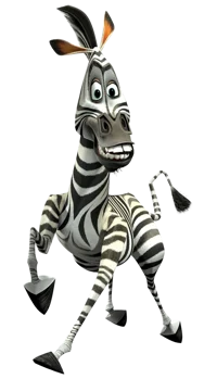 Marty the Zebra