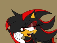 Shadina the Hedgehog