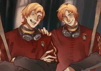 Twins Weasley