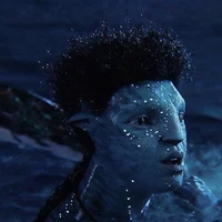 Rotxo