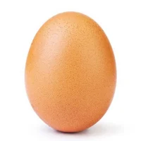 Egg