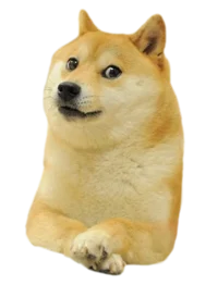 doge