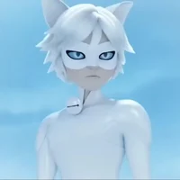 cat noir blanc