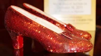 The Ruby slippers 