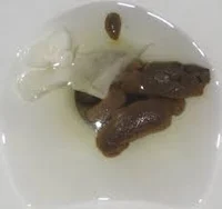 Poo