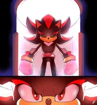 Shadow the hedgehog 