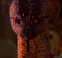 Kaa 1994
