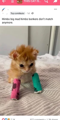 Tater tot