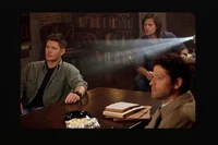 Team Free Will