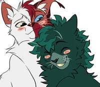 TODODEKU cats