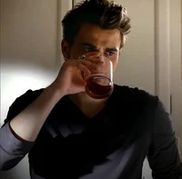 Stefan Salvatore 
