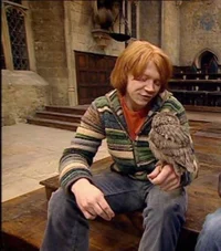 ron weasley 
