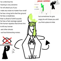 Axolotl Dead Morning