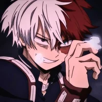 Shoto Todoroki 