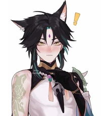 Wolf xiao