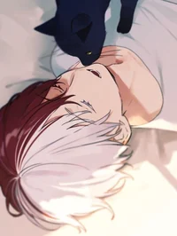 Shoto Todoroki