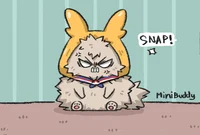 pomeranian bakugou