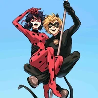 Ladybug e cat noir