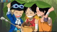 Luffy sabo and ace