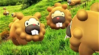 Bidoof