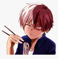 Shoto Todoroki