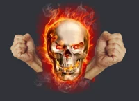 DOMAIN EXPANSION BOS