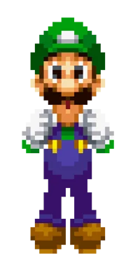 Random luigi