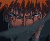 Ichigo kurosaki 
